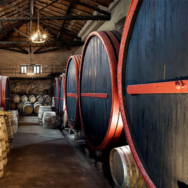 Dégustation de vins de l`Etna