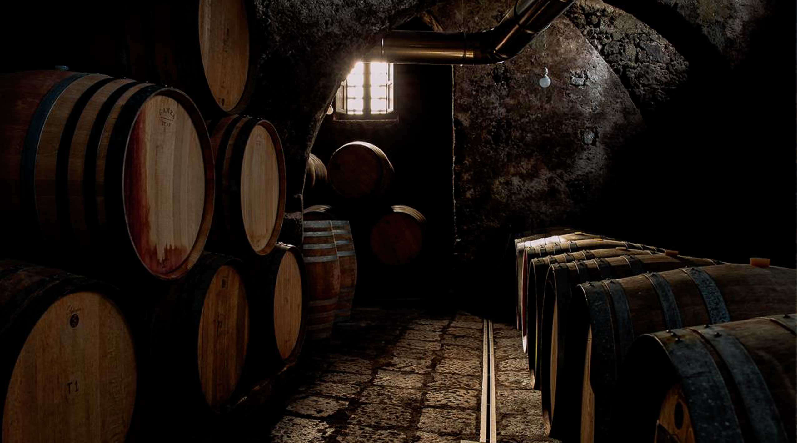 Dégustation de 3 vins Etna DOC