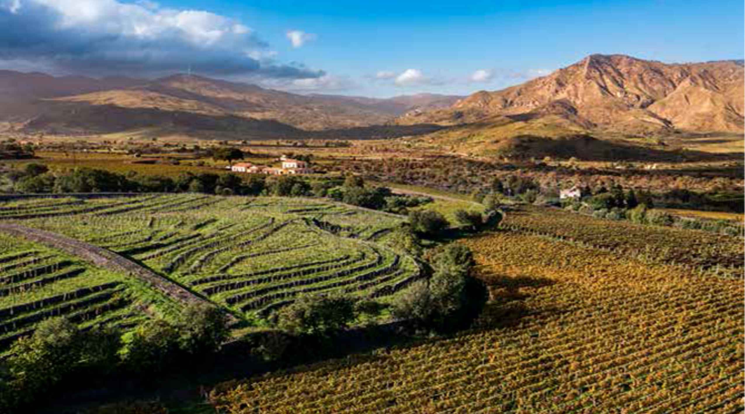 Etna et dégustation