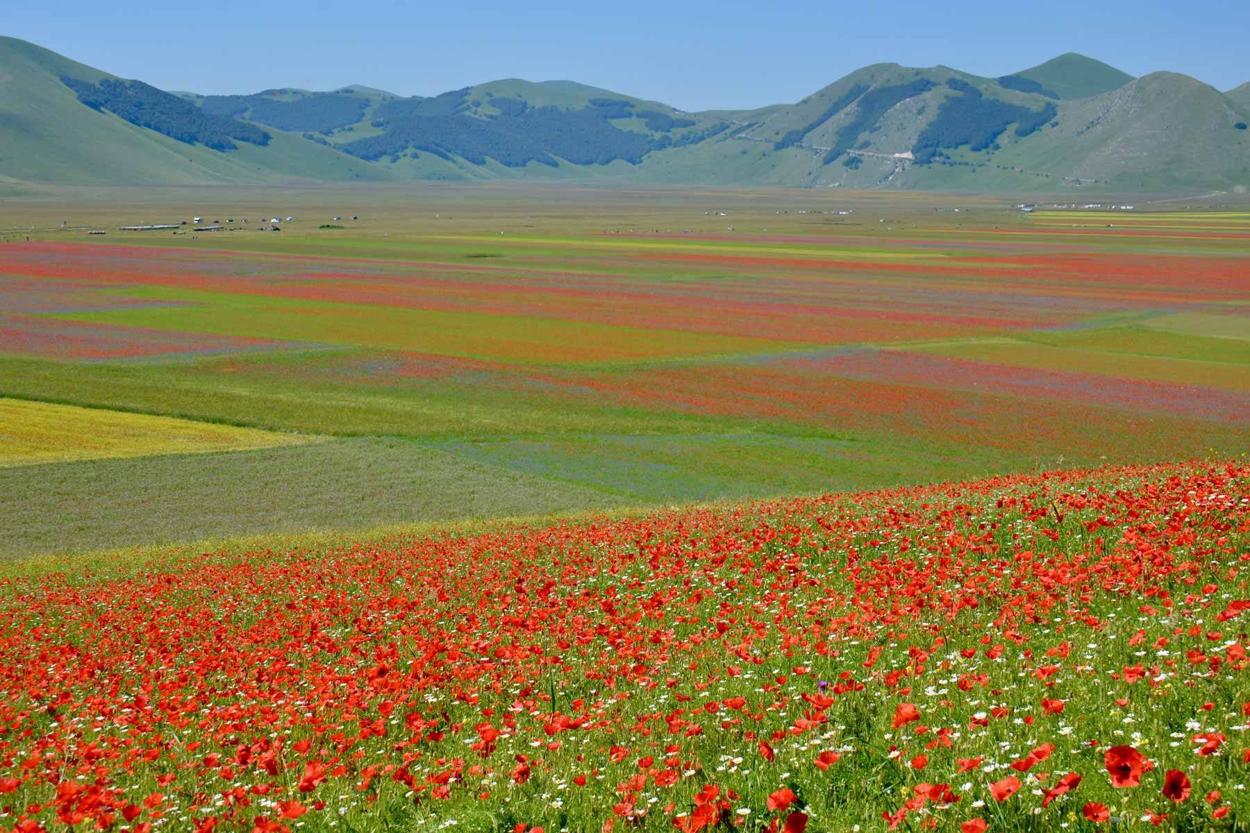 Norcia et l'Ombrie - Nature, spiritualité, gastronomie et vins