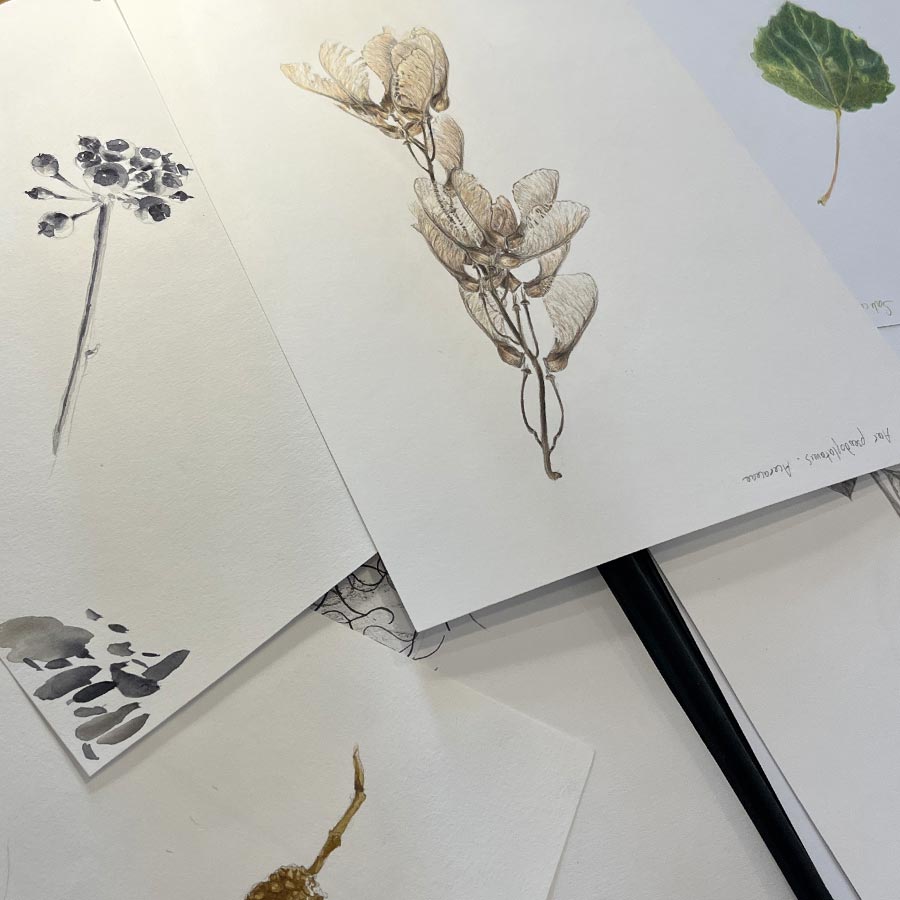 Atelier de dessin et peinture
