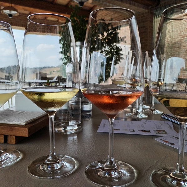 Dîner et Dégustation de vins biologiques de la région des Marches 