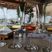 Wines from Le Marche