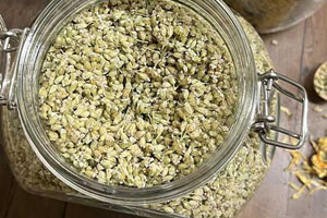 Oregano: an aromatic and medicinal plant