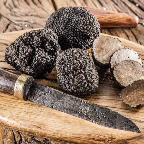 Voyage culinaire en Ombrie 