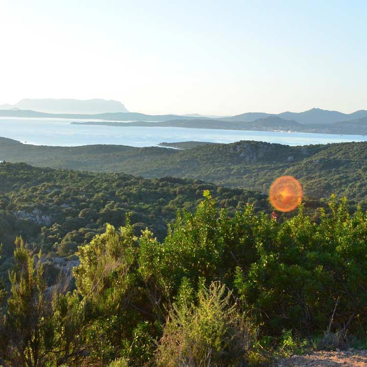 Le Nord et la Costa Smeralda