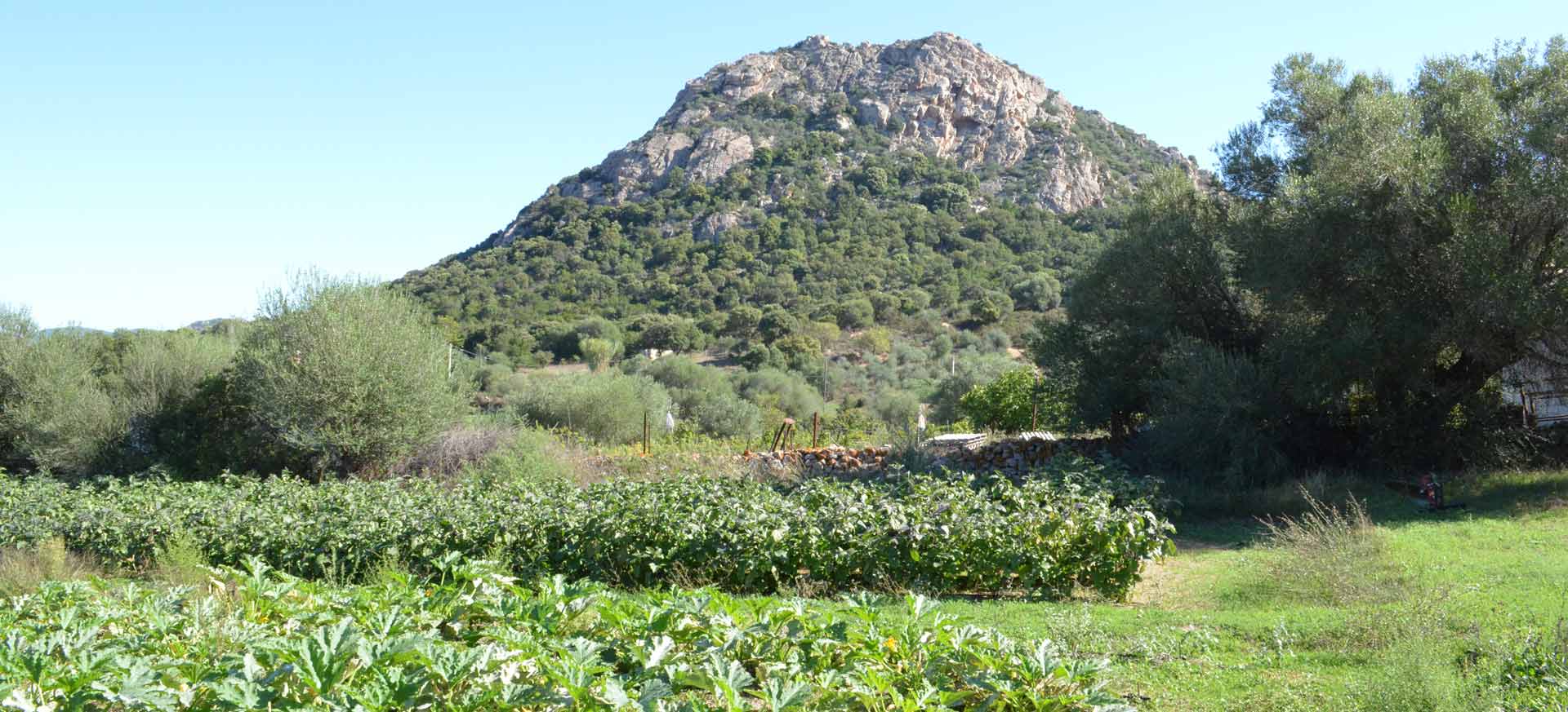 Agriturismo biologique Loiri - Olbia - 