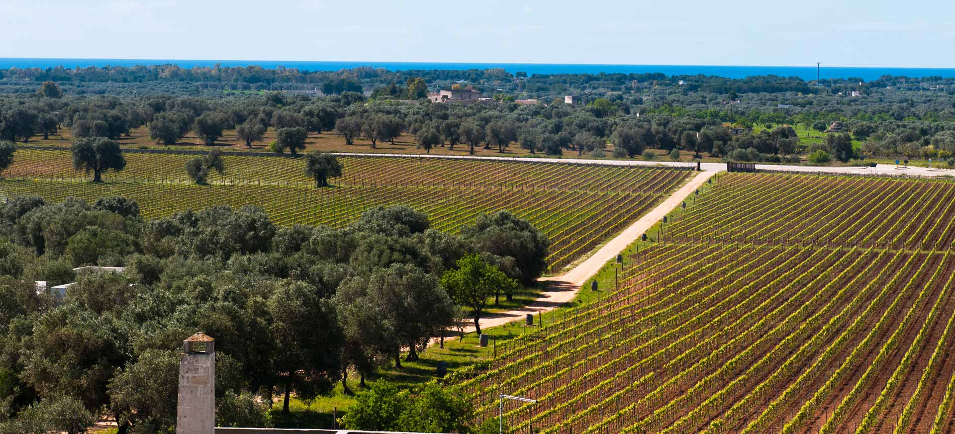 Agriturismo de charme Oenotourisme - Manduria - Taranto  - 
