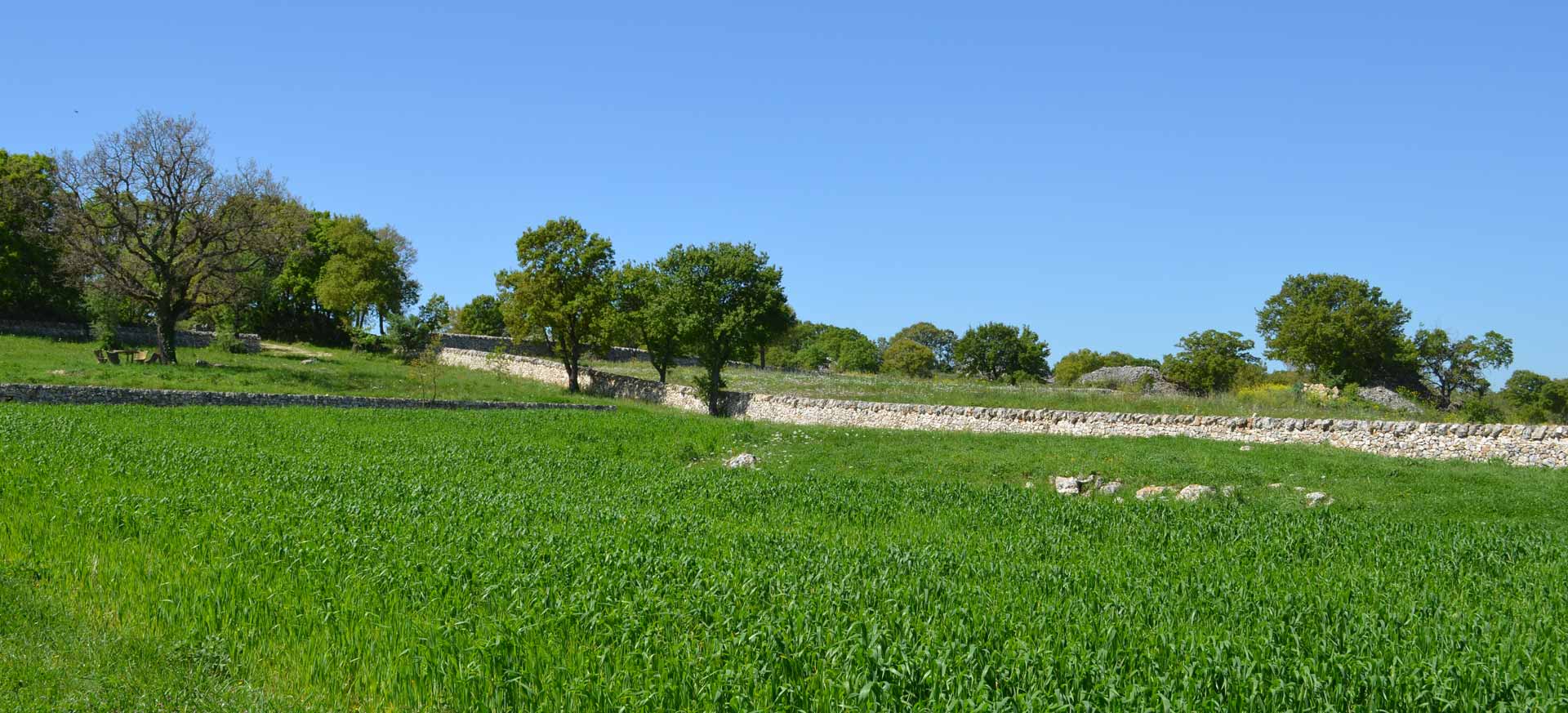 Agriturismo biologique Martina Franca - 