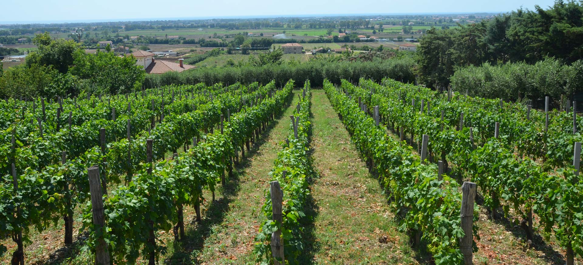 Paestum vacation rental - 