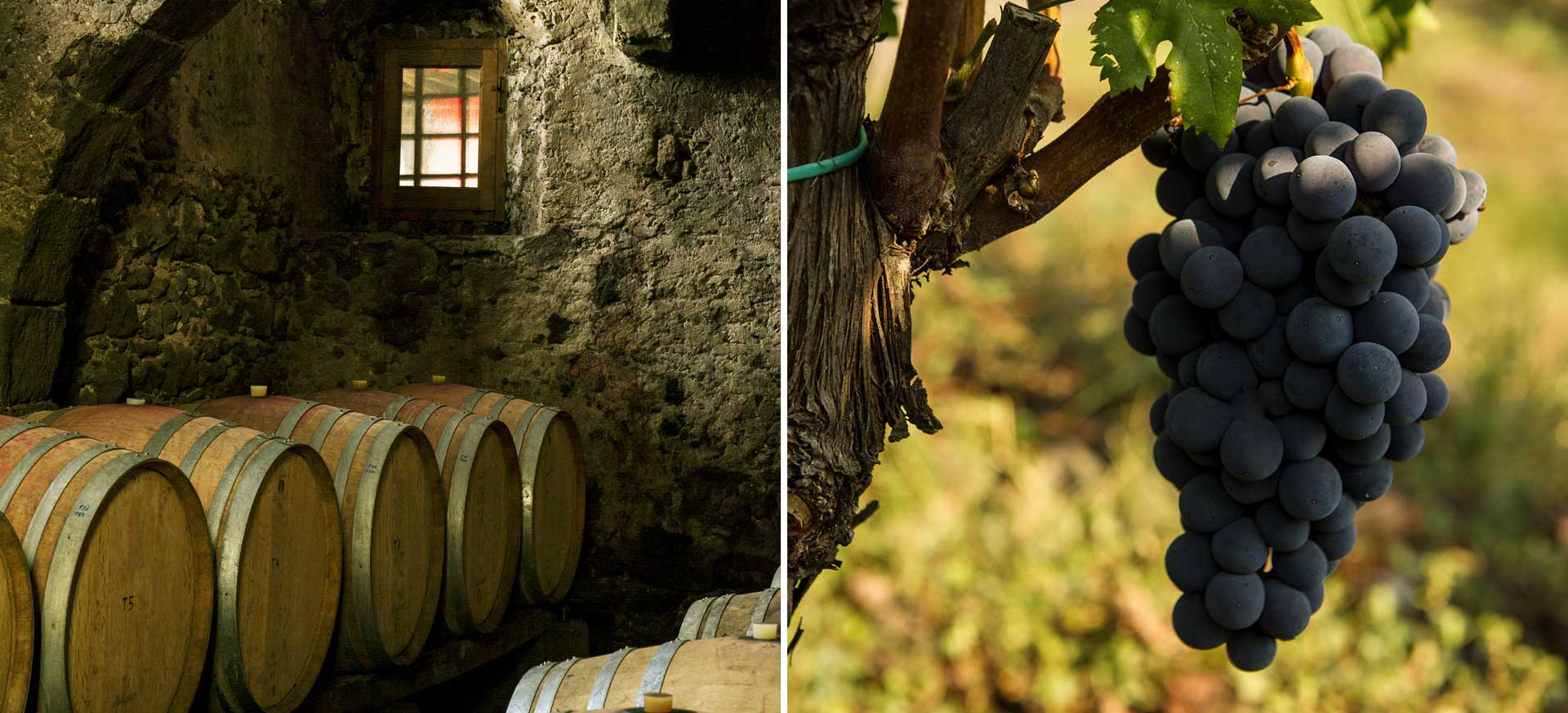 Wine resort Rovittello - Etna - 
