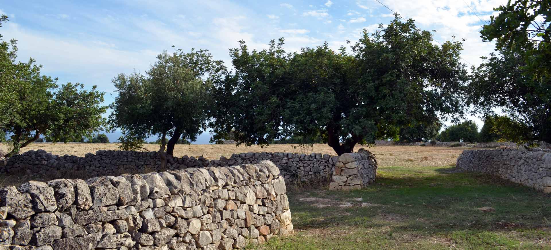 Agriturismo de charme Pozzallo - Modica - 