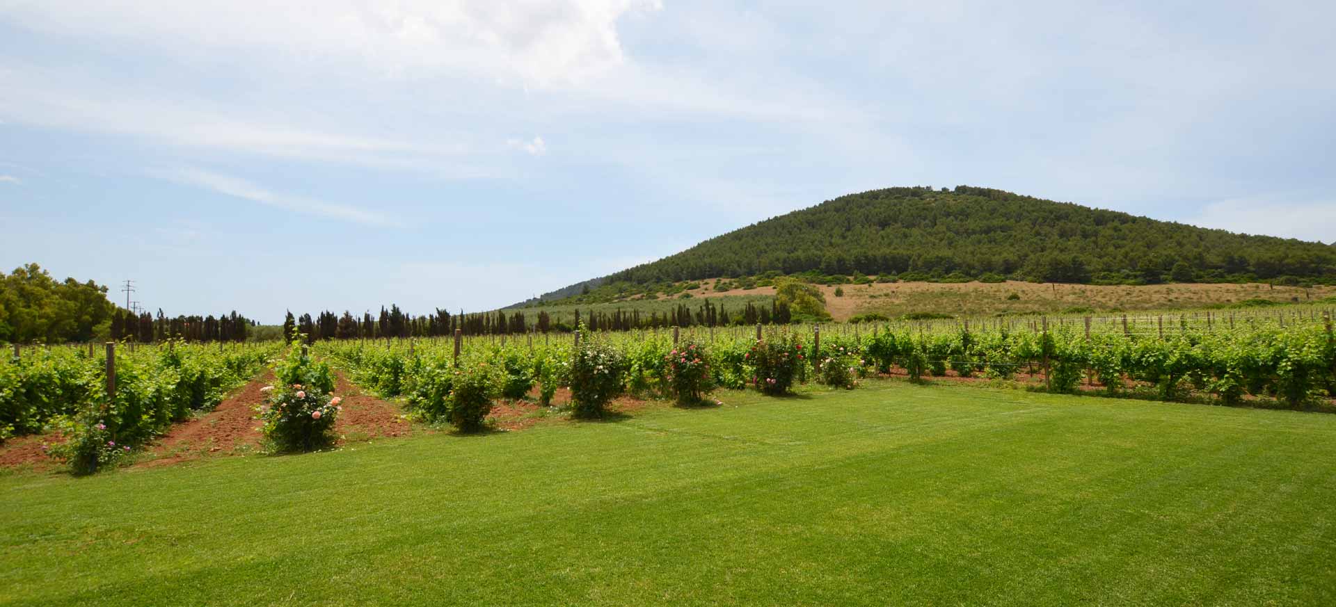 Agriturismo de charme Alghero - 