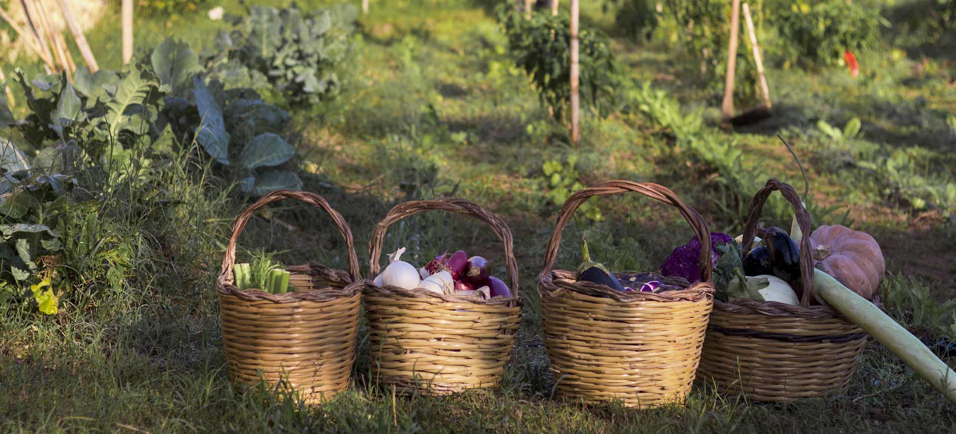 Agriturismo de charme Ragusa - 