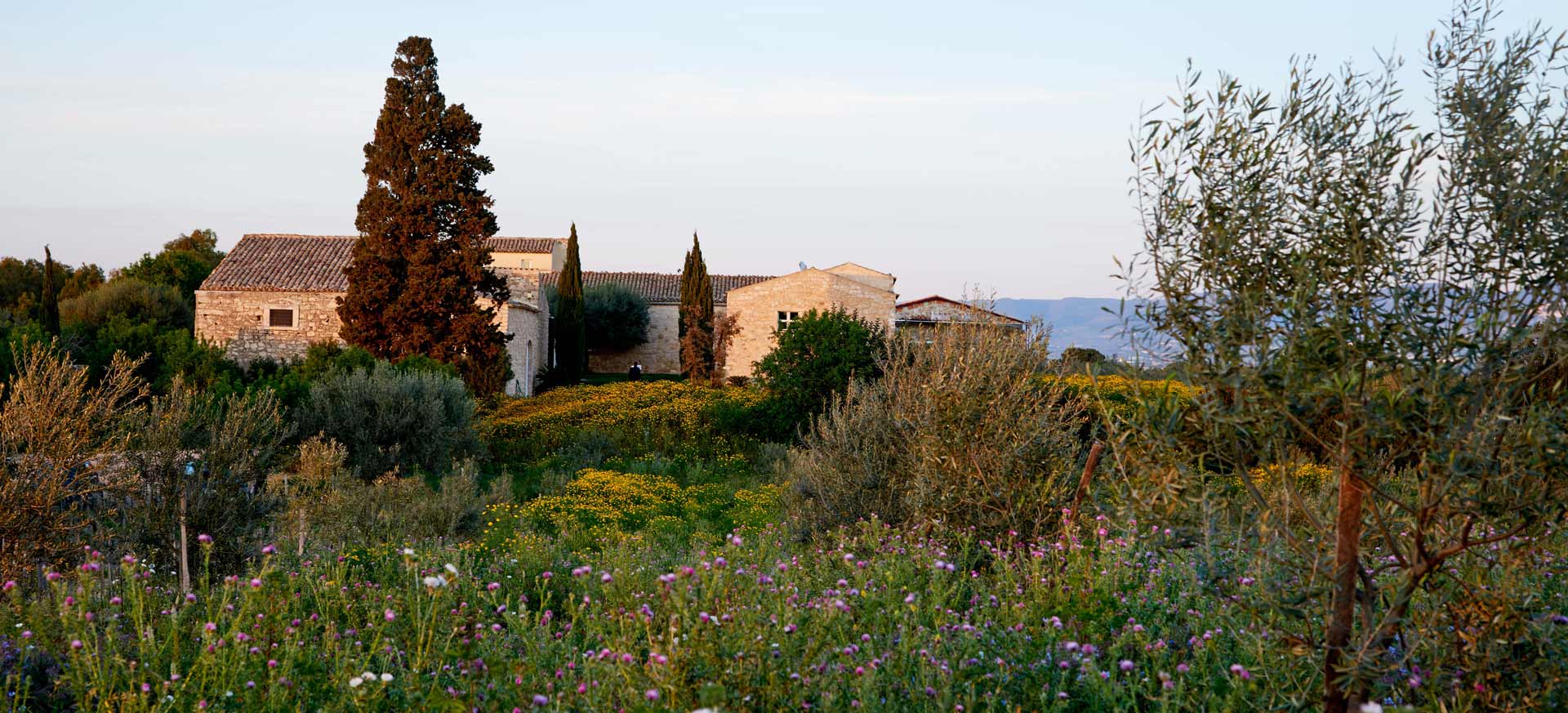 Charming bed and breakfast & Organic farm Ragusa - 