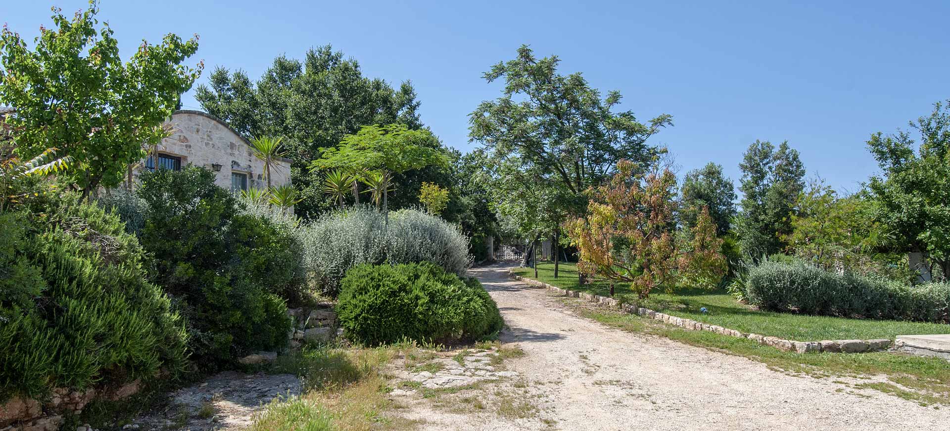 Trulli bed and breakfast Cisternino - 