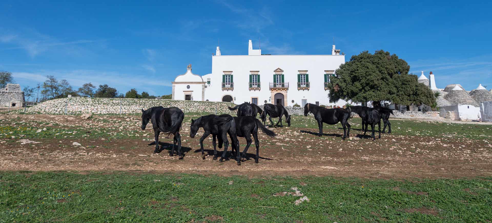 Masseria Martina Franca - 