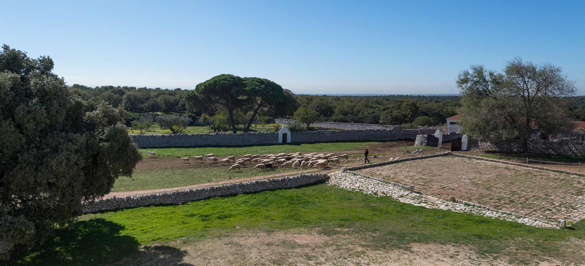 Masseria Martina Franca - 