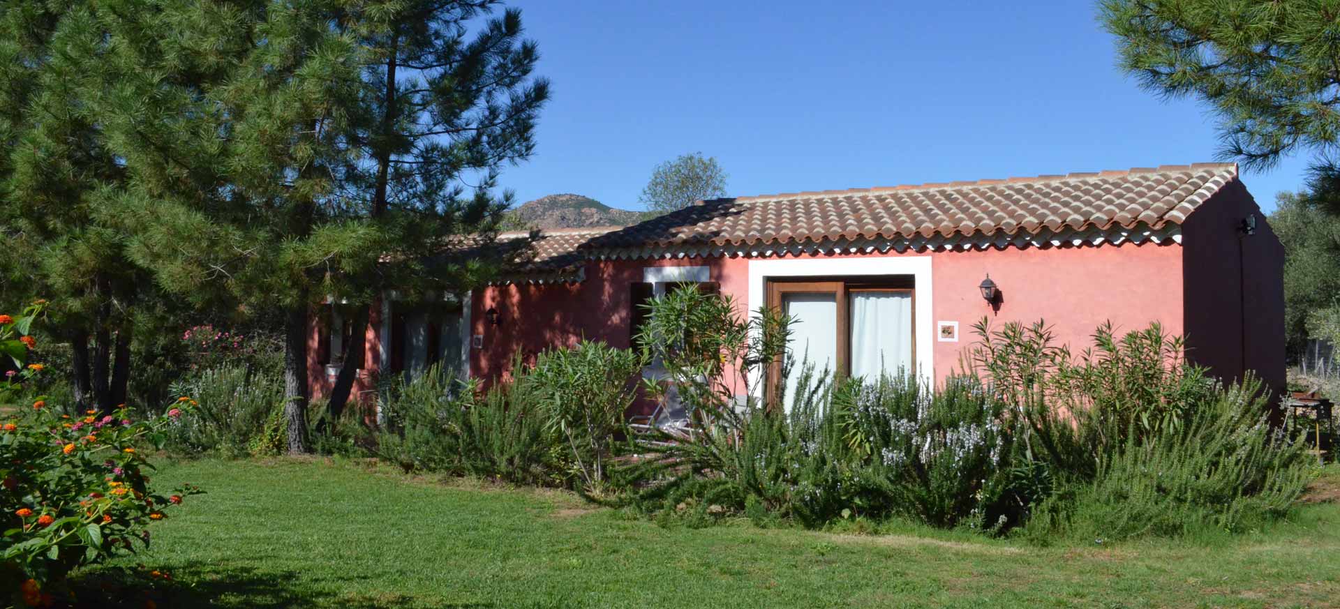 Organic farmhouse Gallura - Olbia