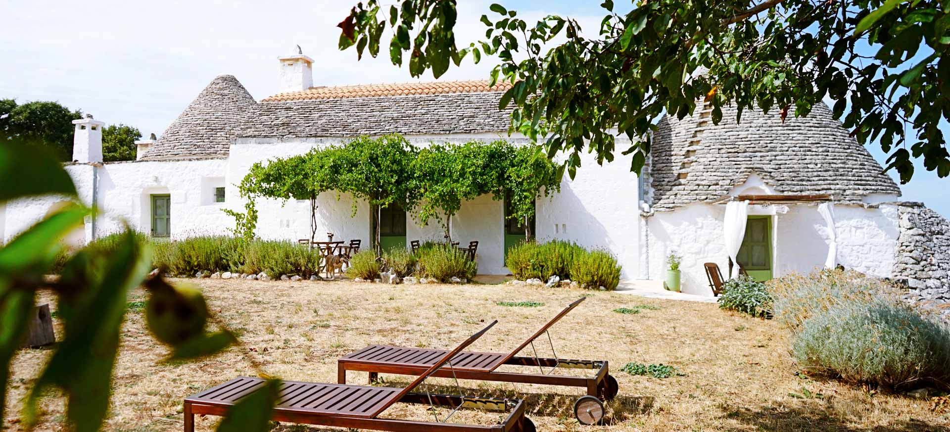 Organic Farmhouse Martina Franca