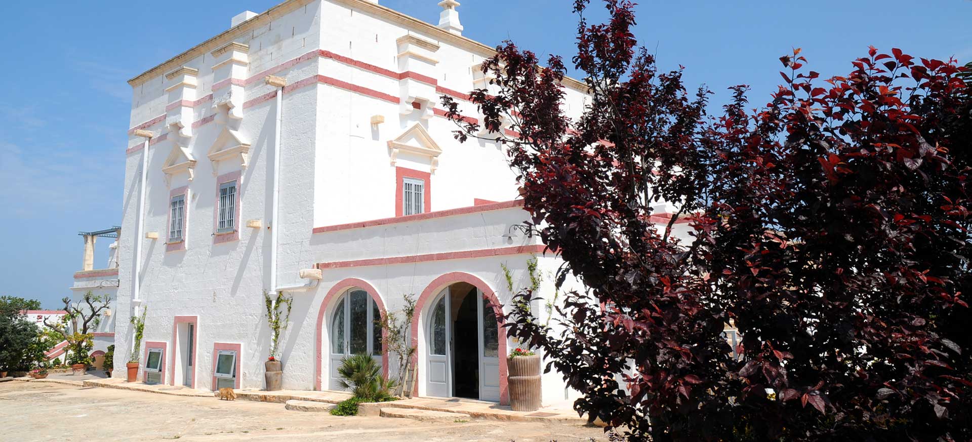 Agriturismo de charme Fasano - Pezze di Greco